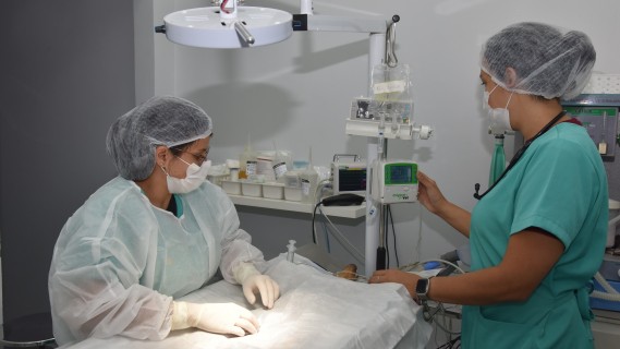 Centro de Castração PATA completa 1 ano com mais de 5 mil castrações gratuitas em Aparecida